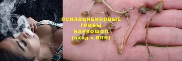 герыч Алексеевка