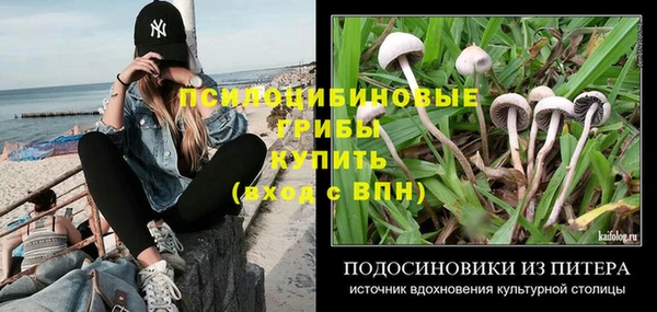гашик Армянск