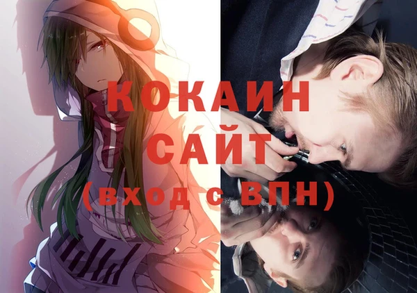 крисы Алексин
