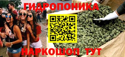 эйфоретик Кингисепп
