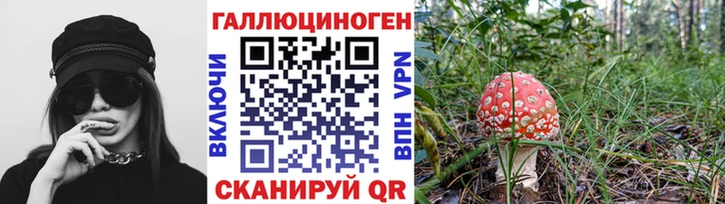 Псилоцибиновые грибы GOLDEN TEACHER  Тамбов 