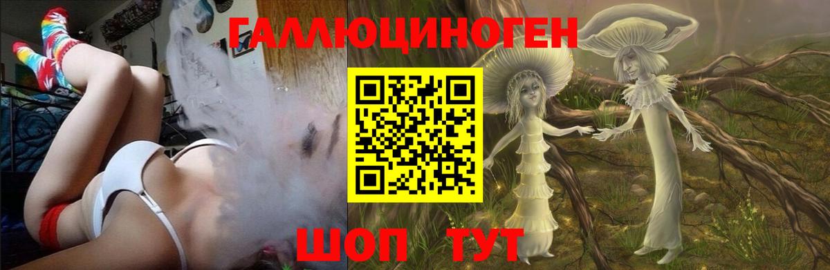 Тамбов  Псилоцибиновые грибы Psilocybe  где найти   Вход с VPN 